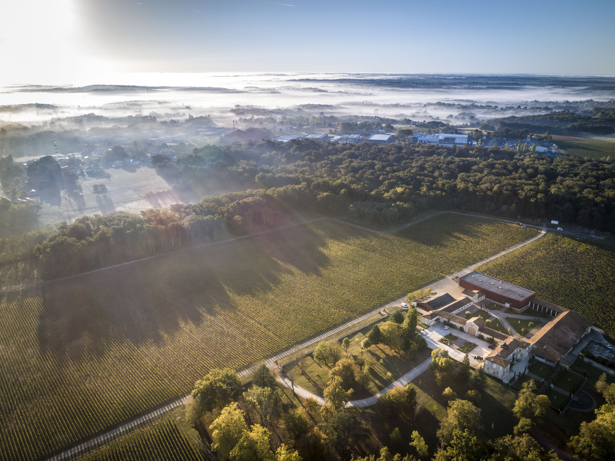 visite